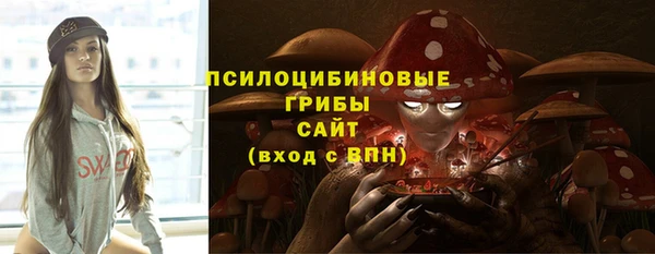 дурь Арсеньев