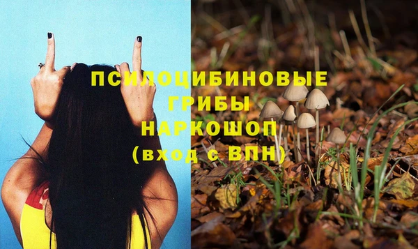 дурь Арсеньев