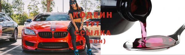 дурь Арсеньев