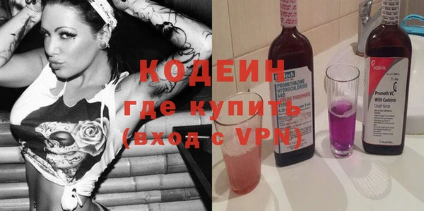 дурь Арсеньев