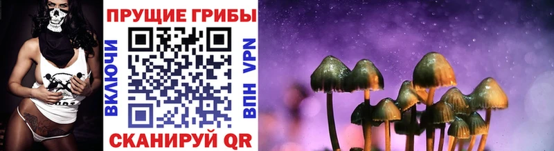 дарнет шоп  Осташков  Псилоцибиновые грибы Magic Shrooms 