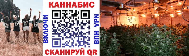 ОМГ ОМГ маркетплейс  Осташков  МАРИХУАНА Bruce Banner 